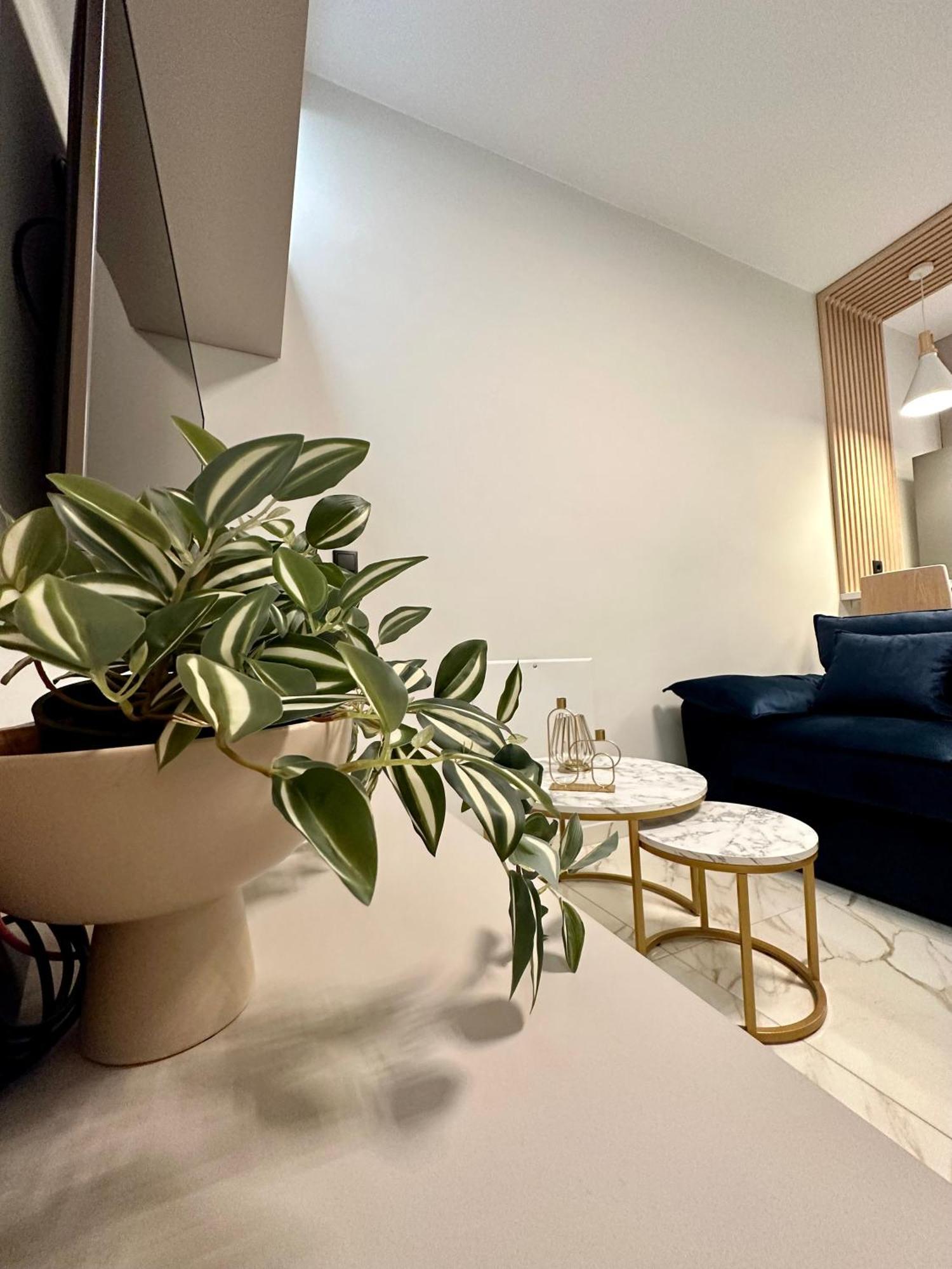 Klelia Golden Suite 亚历山德鲁波利斯 外观 照片
